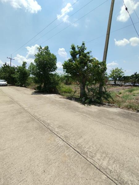 Vacant Land 362 Sq. Wah Phai Hu Chang Subdistrict, Bang Lane District, Nakhon Pathom, Nakhon Pathom