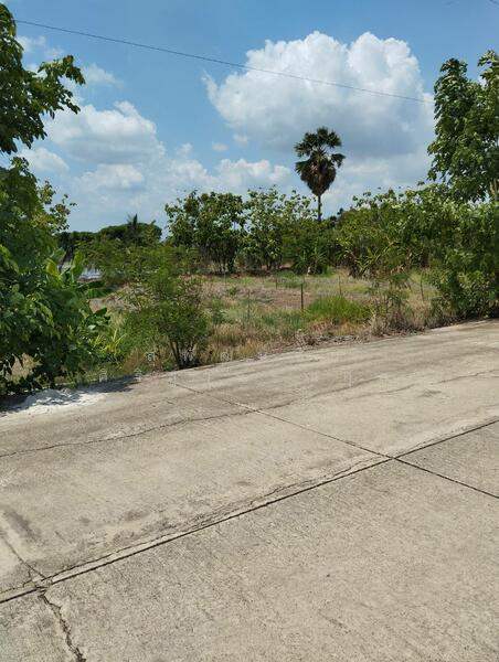 Vacant Land 362 Sq. Wah Phai Hu Chang Subdistrict, Bang Lane District, Nakhon Pathom, Nakhon Pathom
