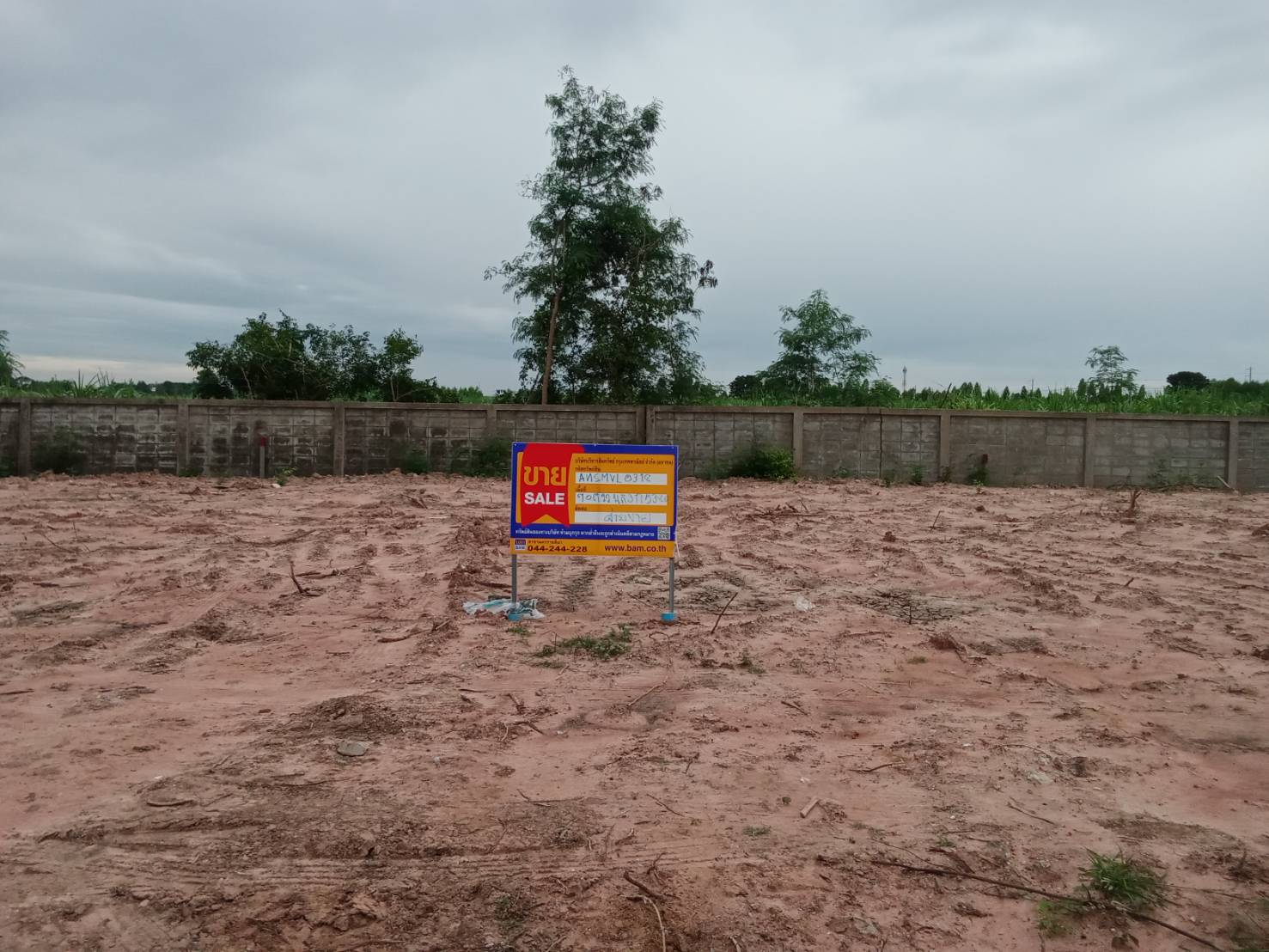 Empty land, Ing Thar Project, Nakhon Ratchasima