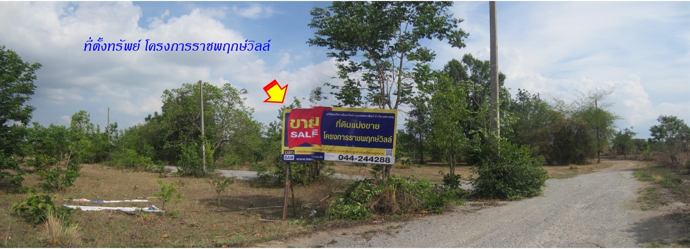 ที่ดินเปล่า โครงการราชพฤกษ์วิลล์ ปักธงชัย