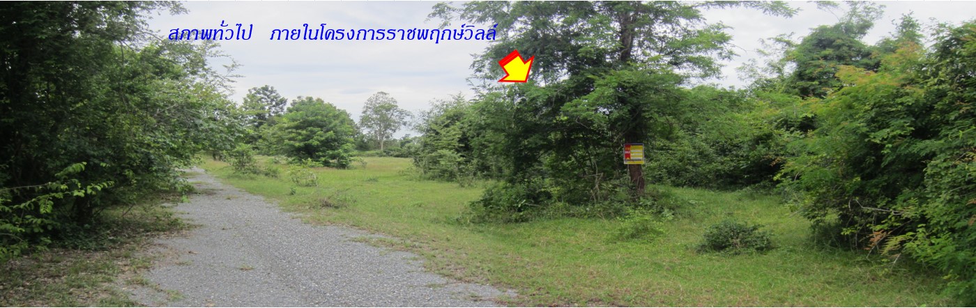 ที่ดินเปล่า โครงการราชพฤกษ์วิลล์ ปักธงชัย