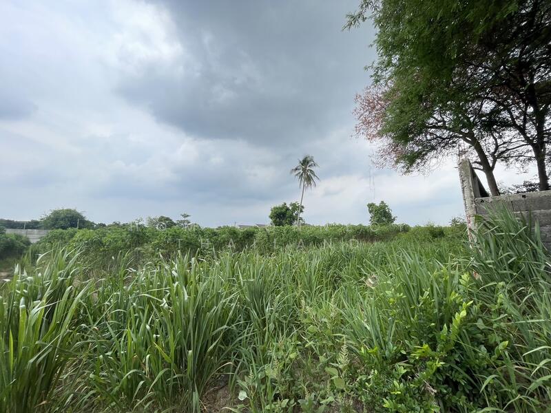 Land for Sale in Sriracha, Chonburi, chon-buri
