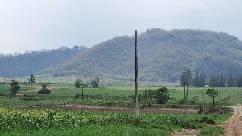 ขายที่ดินจัดสรร หนองอิรุณ บ้านบึง ชลบุรี 187 ไร่, Chon Buri (Pattaya)