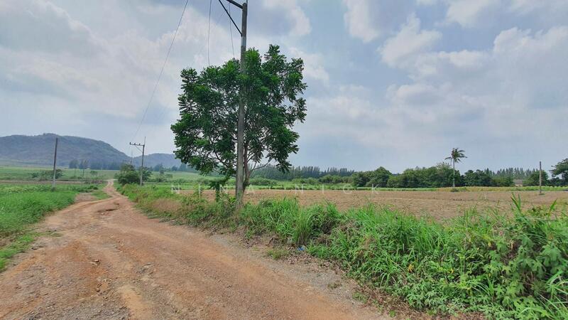 ขายที่ดินจัดสรร หนองอิรุณ บ้านบึง ชลบุรี 187 ไร่, Chon Buri (Pattaya)