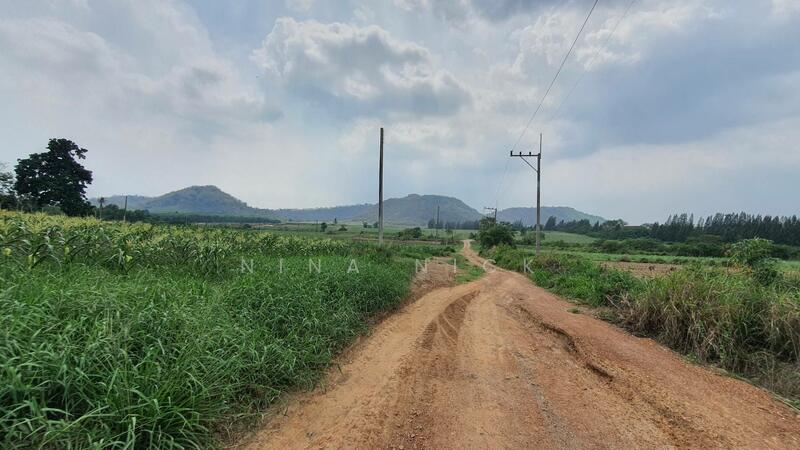 ขายที่ดินจัดสรร หนองอิรุณ บ้านบึง ชลบุรี 187 ไร่, Chon Buri (Pattaya)