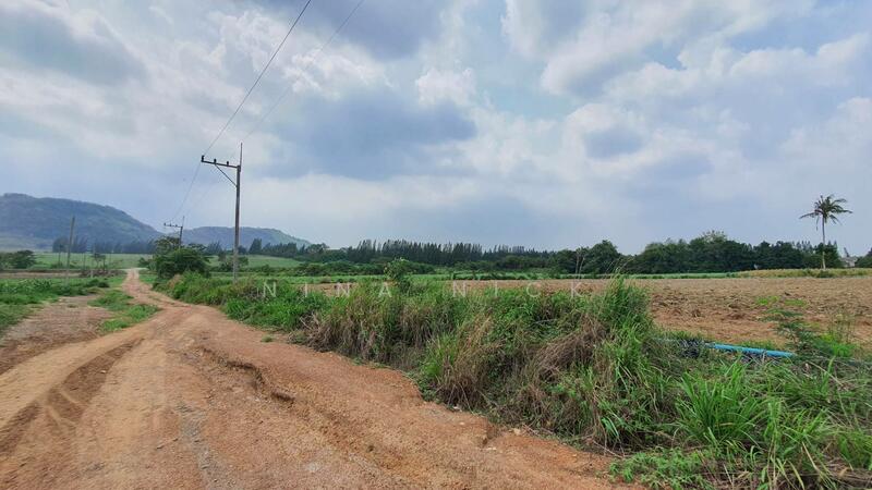 ขายที่ดินจัดสรร หนองอิรุณ บ้านบึง ชลบุรี 187 ไร่, Chon Buri (Pattaya)