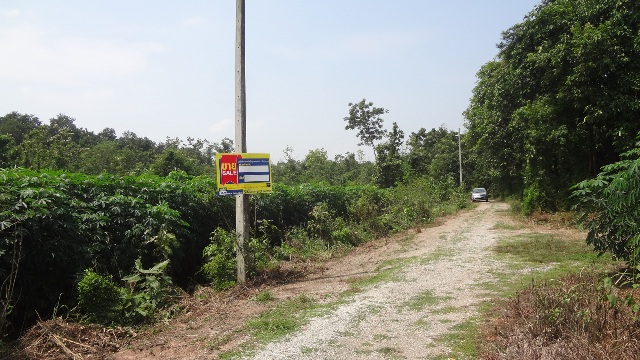 Empty land, Lamphun Sakkhong Project
