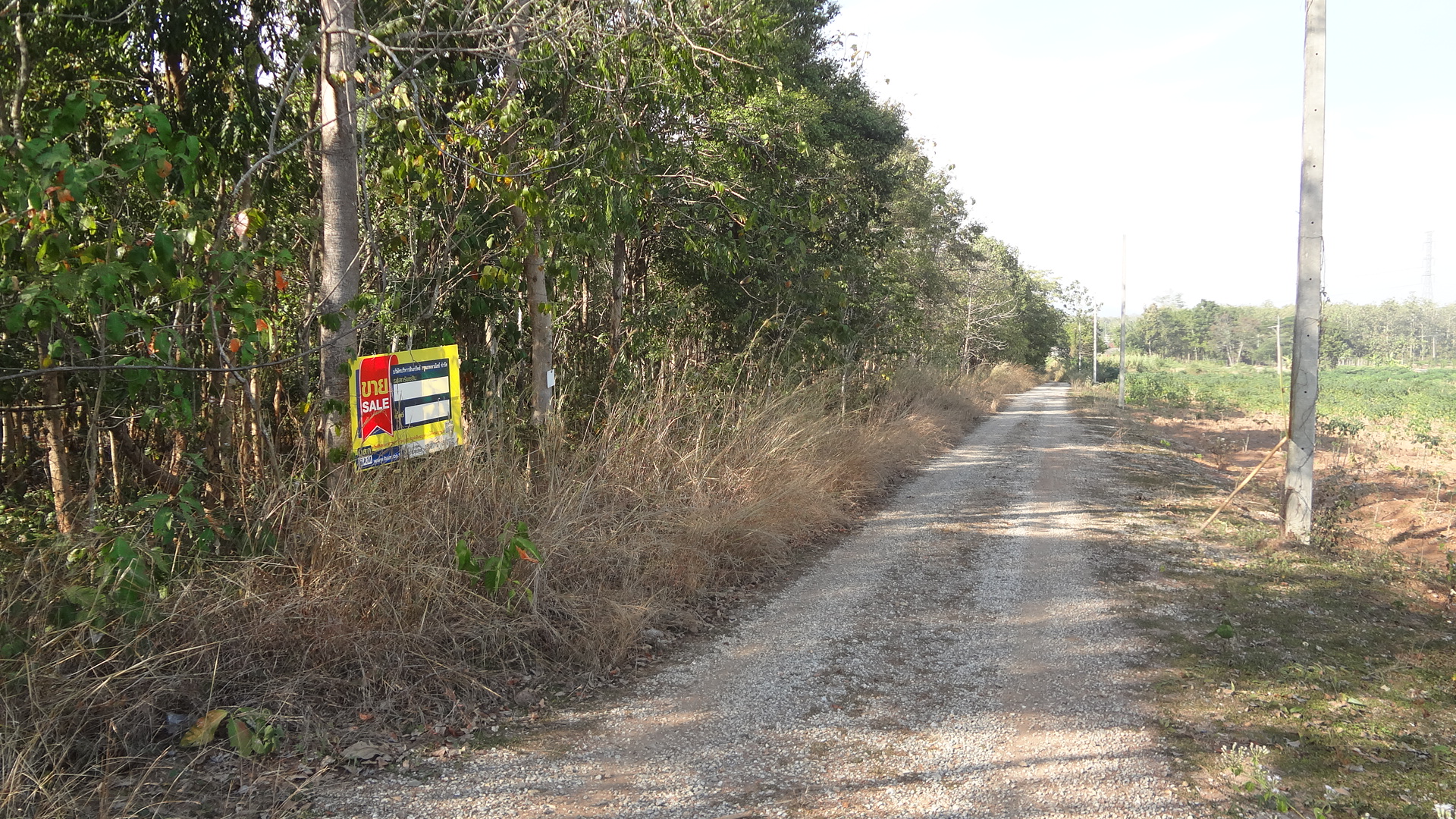 Empty land in the project of Pak Chai Tai, Lamphun