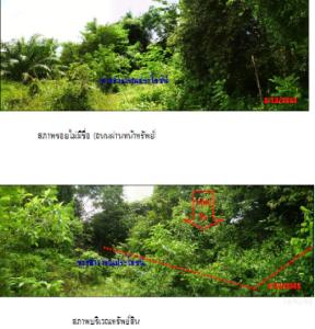 ที่ดินเปล่า เหนือคลอง จังหวัดกระบี่
