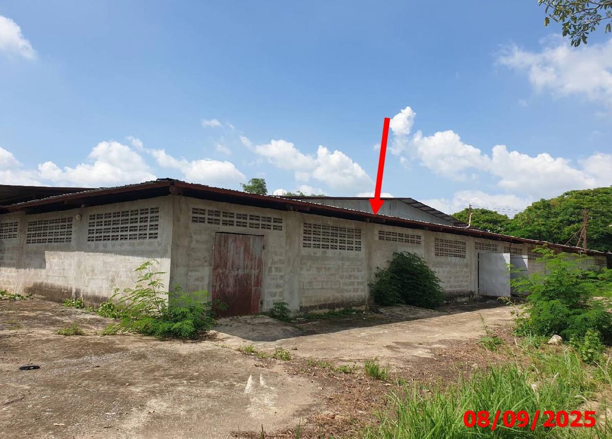 Industrial Building in Lamphun, Lamphun