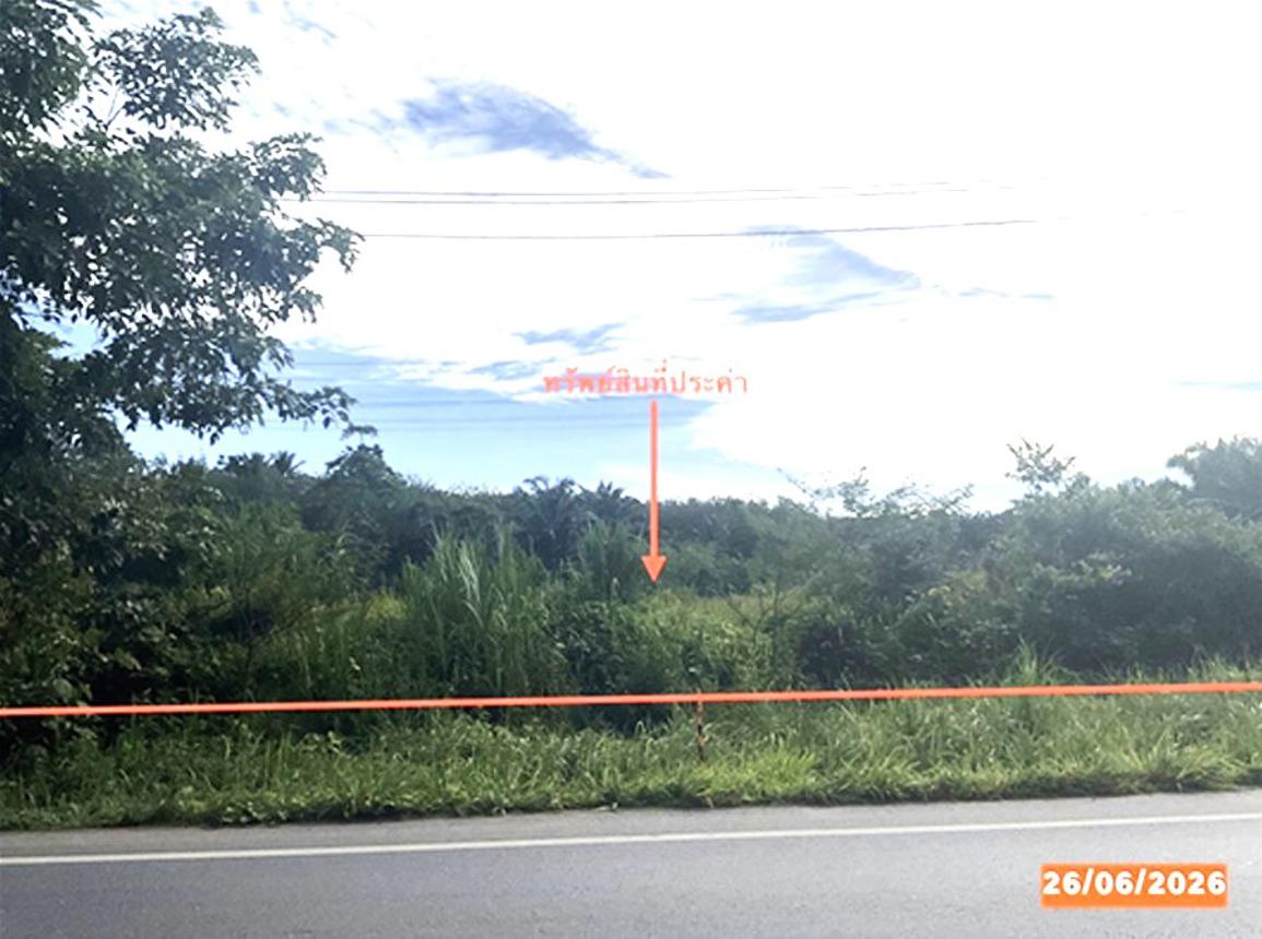 Empty land for sale in Bang Khan, Nakhon Si Thammarat province.