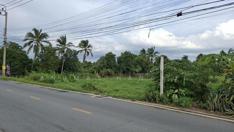 ขายด่วน ที่ดินใกล้ห้างเซ็นทรัล ทางด่วน, Nonthaburi