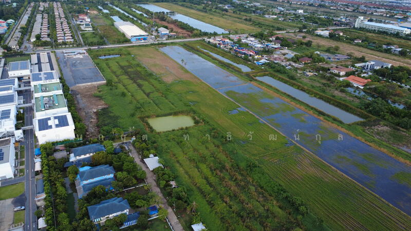 ขายที่ดินแปลงใหญ่ ร่มเกล้า-ลาดกระบัง, Bangkok