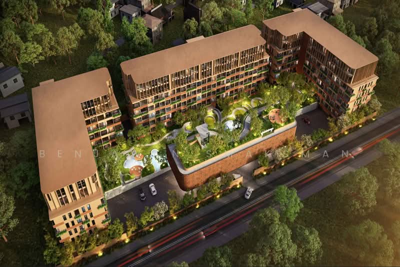 Arise Vibe, Phuket