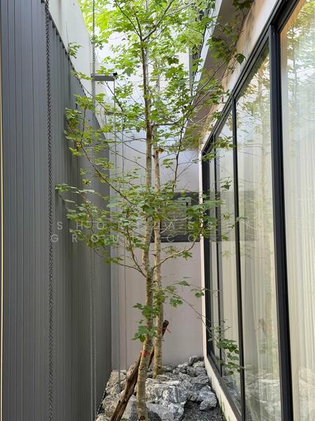 Poolvilla ดอยสะเก็ด, Chiang Mai