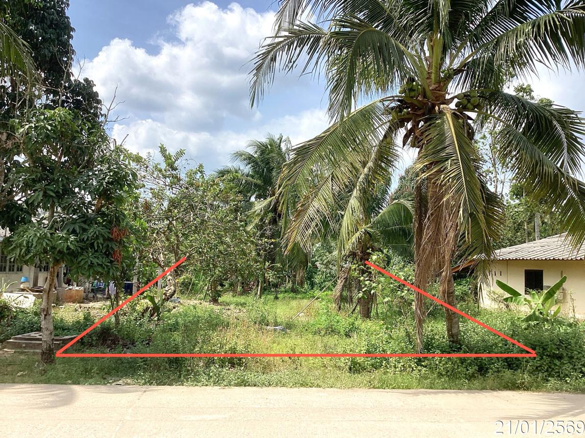 Empty land plot in Nakhon Si Thammarat, Songkhla Province