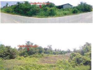 ที่ดินพร้อมสิ่งปลูกสร้าง บรรพตพิสัย จังหวัดนครสวรรค์