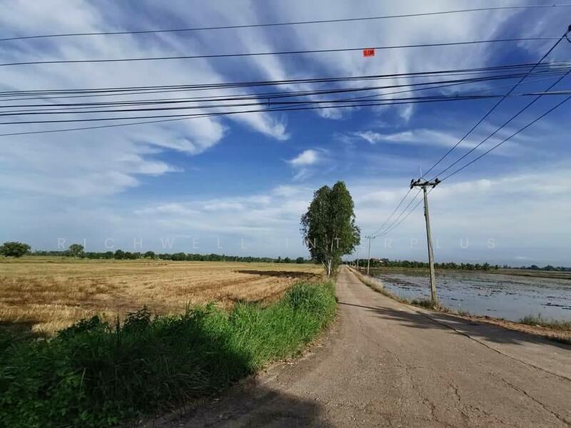 ขายที่นาราชสาสน์ 10 ไร่ ติดถนนติดคลอง ใกล้ถนนเส้น 3444 - 4 กม. บางคา, Chachoengsao
