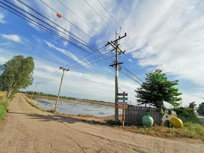 ขายที่นาราชสาสน์ 10 ไร่ ติดถนนติดคลอง ใกล้ถนนเส้น 3444 - 4 กม. บางคา, Chachoengsao