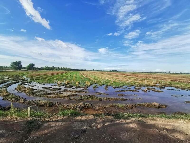 ขายที่นาราชสาสน์ 10 ไร่ ติดถนนติดคลอง ใกล้ถนนเส้น 3444 - 4 กม. บางคา, Chachoengsao