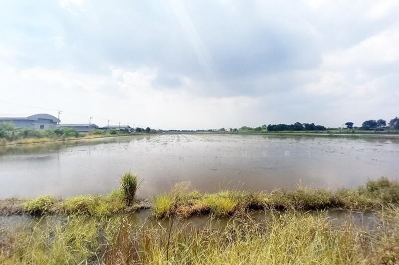 ถนนเลียบตะวันออกคลอง7, Pathum Thani
