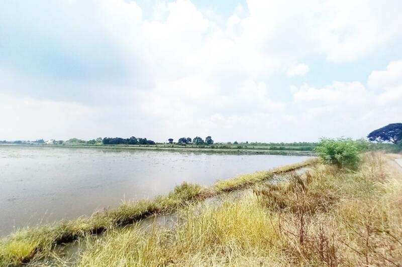 ถนนเลียบตะวันออกคลอง7, Pathum Thani