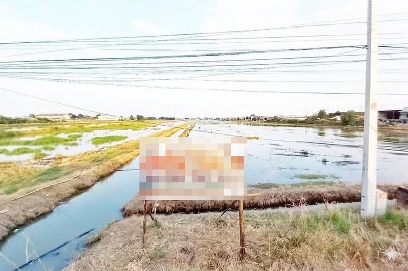 ถนนเลียบตะวันออกคลอง7, Pathum Thani