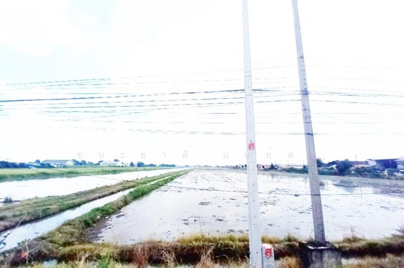 ถนนเลียบตะวันออกคลอง7, Pathum Thani