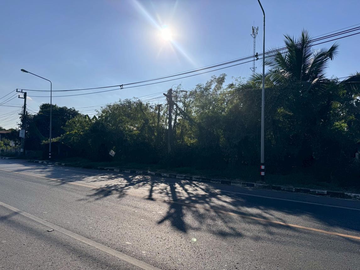 ที่ดินว่างเปล่าสำหรับขายในหนองบัวลำภู