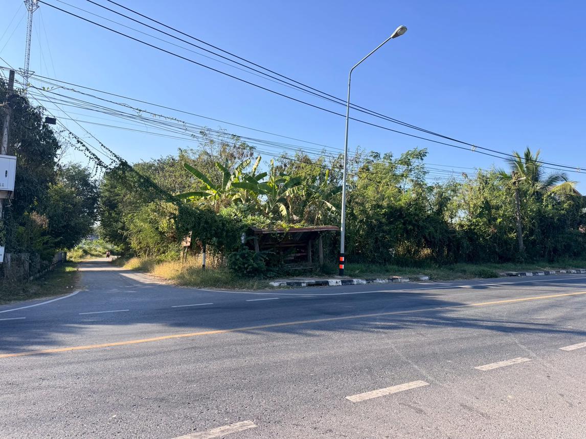 ที่ดินว่างเปล่า นอกโครงการหนองบัวลำภู เมืองหนองบัวลำภู หนองบัวลำภู