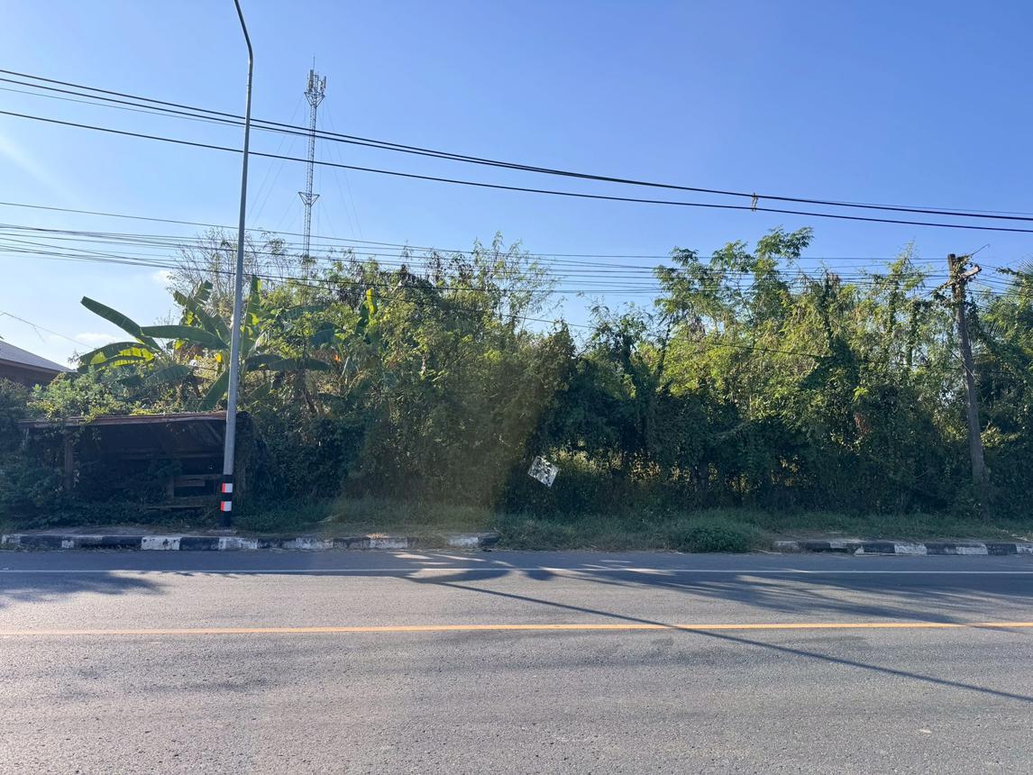 ที่ดินว่างเปล่า นอกโครงการหนองบัวลำภู เมืองหนองบัวลำภู หนองบัวลำภู