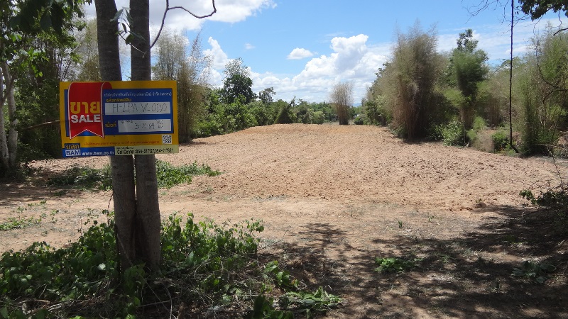 Empty land for sale in Lamphun Province