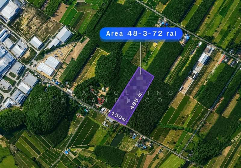 ที่ดินผังม่วงลาย เขต EEC | นิคมพัฒนา ระยอง, Rayong