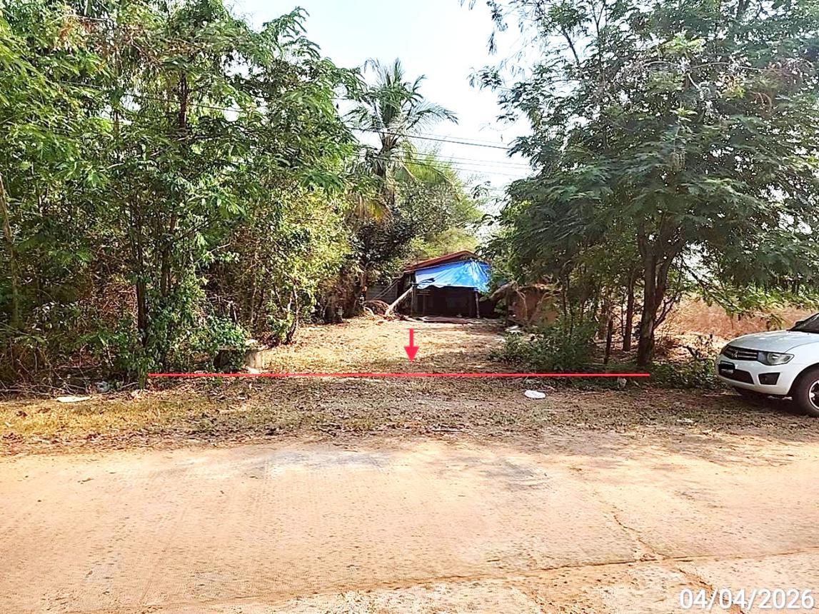 Single House in Nong Pho, Roi Et