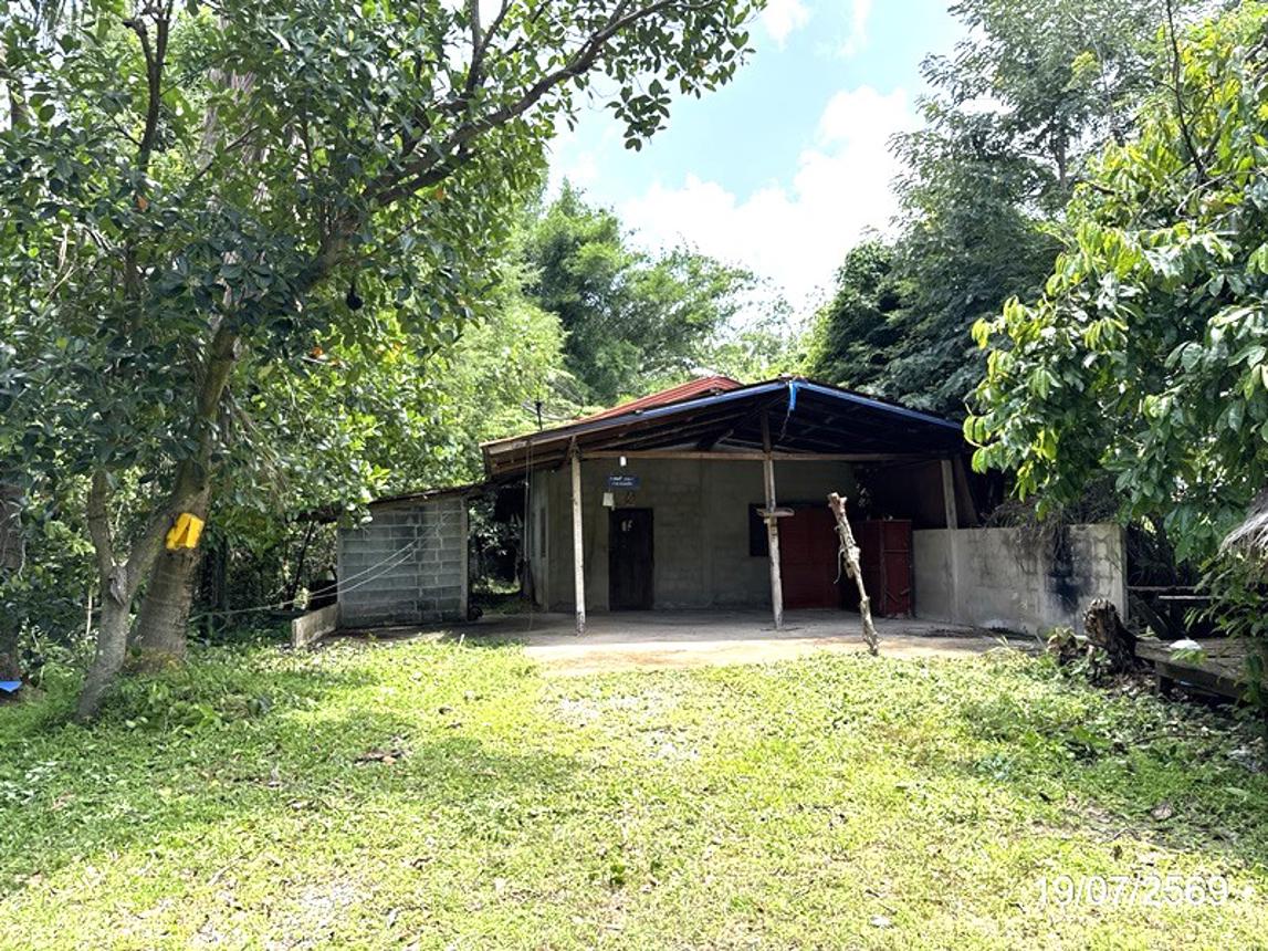 Single House in Nong Pho, Roi Et
