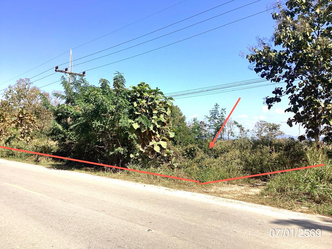Vacant Land for Sale in Chiang Rai