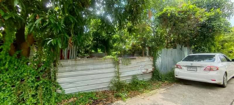 ที่ดินเปล่า 60 ตร.ว. ที่ดิน ซอยแจ่มสุข2 ถนนรังสิต-ปทุมธานี, Pathum Thani
