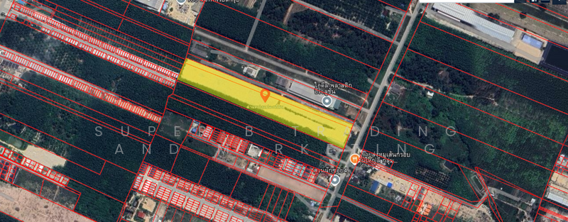 Land for sale, 19 rai, 3 ngan, 65.3 sq m, Plaeng Daeng, Rayong, Rayong
