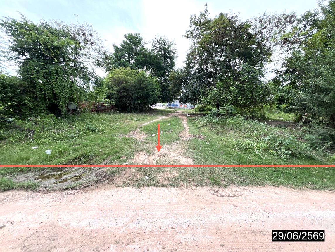 Vacant Land in Nong Kung Si, Kalasin