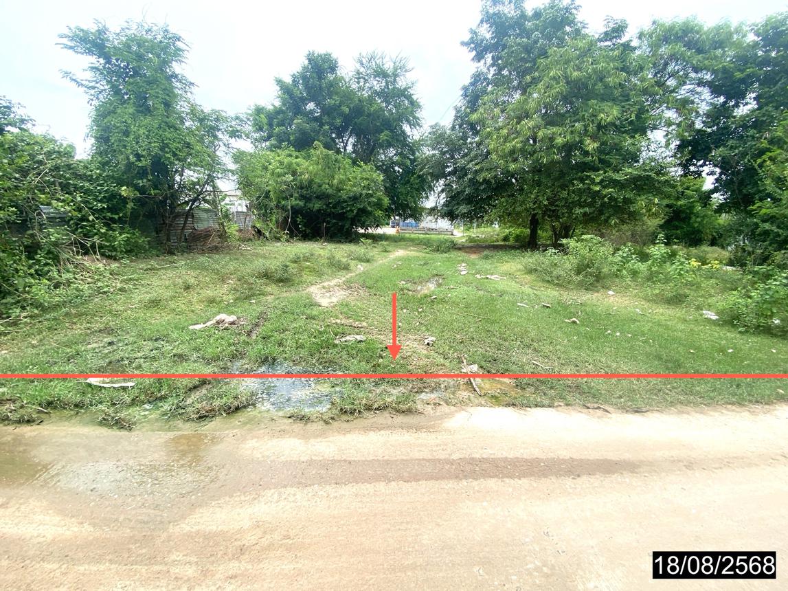 ที่ดินว่างเปล่า หนองกุงศรี กาฬสินธุ์
