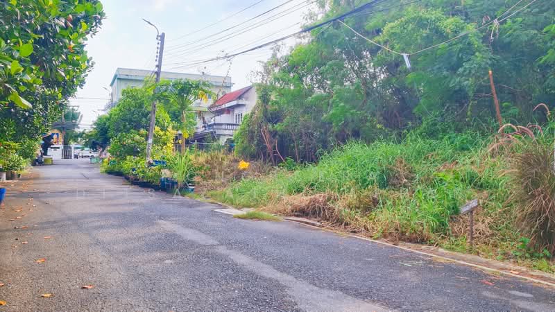 ขายที่ดิน 200 ตร.ว. พุทธมณฑลสาย1 ถนนบางพรม ตลิ่งชันตลิ่งชัน, Bangkok