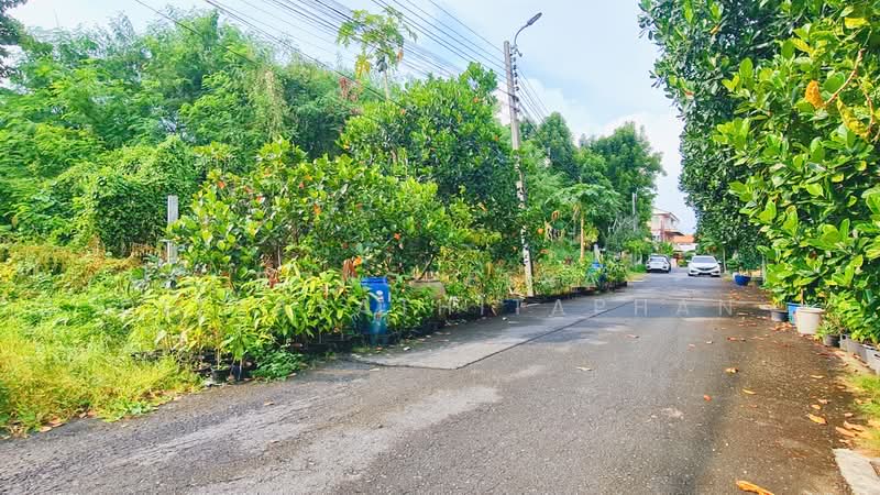 ขายที่ดิน 200 ตร.ว. พุทธมณฑลสาย1 ถนนบางพรม ตลิ่งชันตลิ่งชัน, Bangkok
