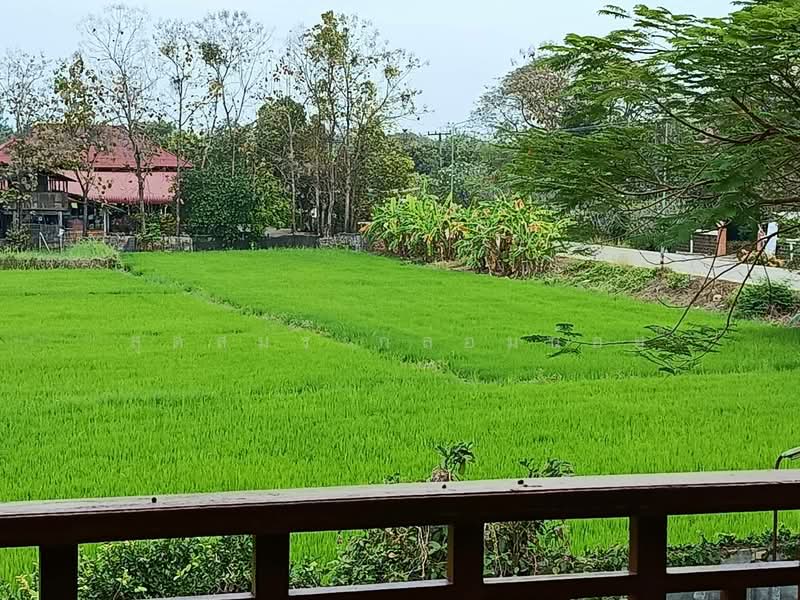 บวกค้าง, Chiang Mai