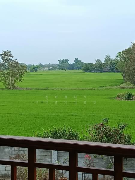บวกค้าง, Chiang Mai