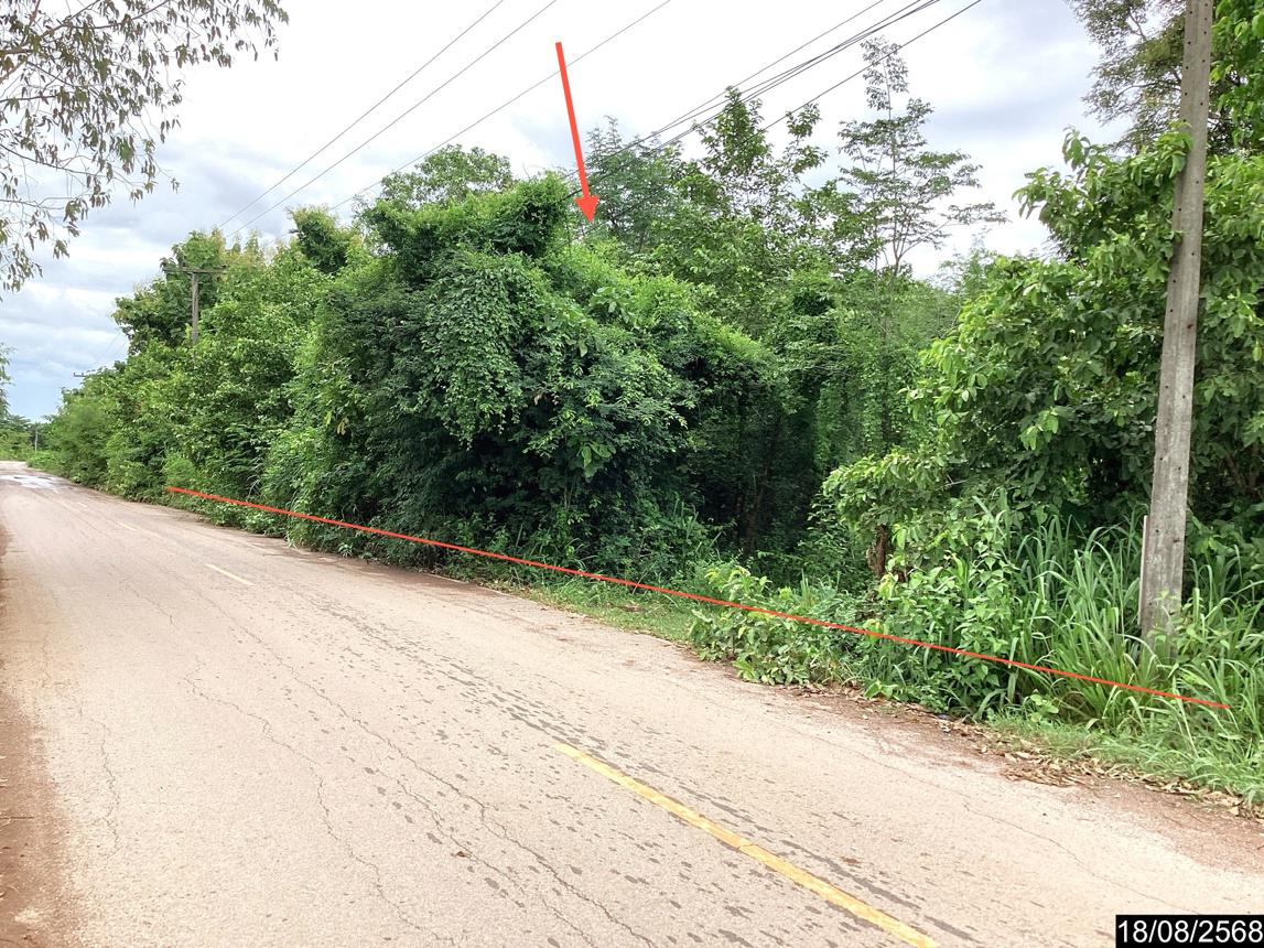 Empty land in Sri Bunyuen, Nong Bua Lamphu