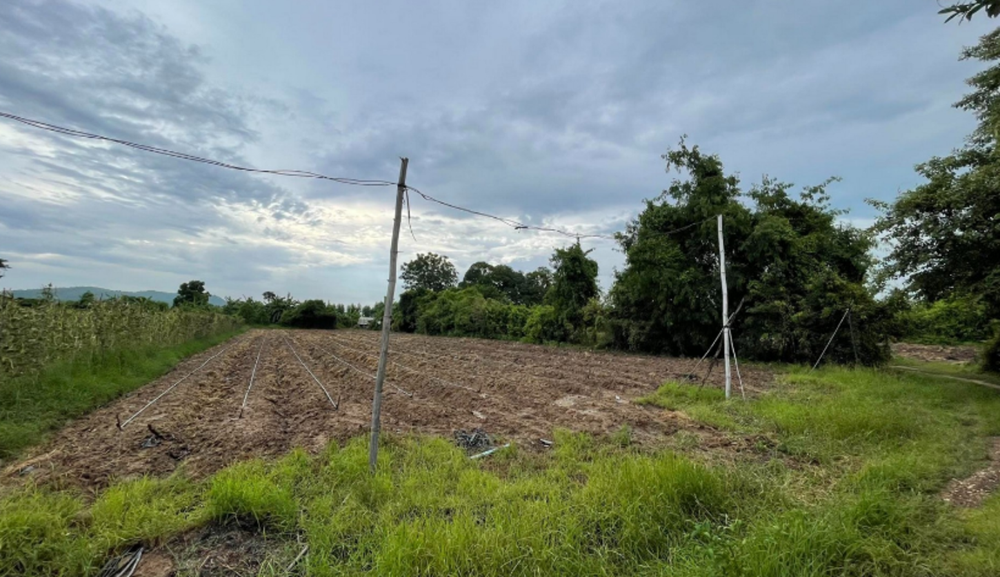 ที่ดินว่างเปล่า เดิมบางนางบวช สุพรรณบุรี