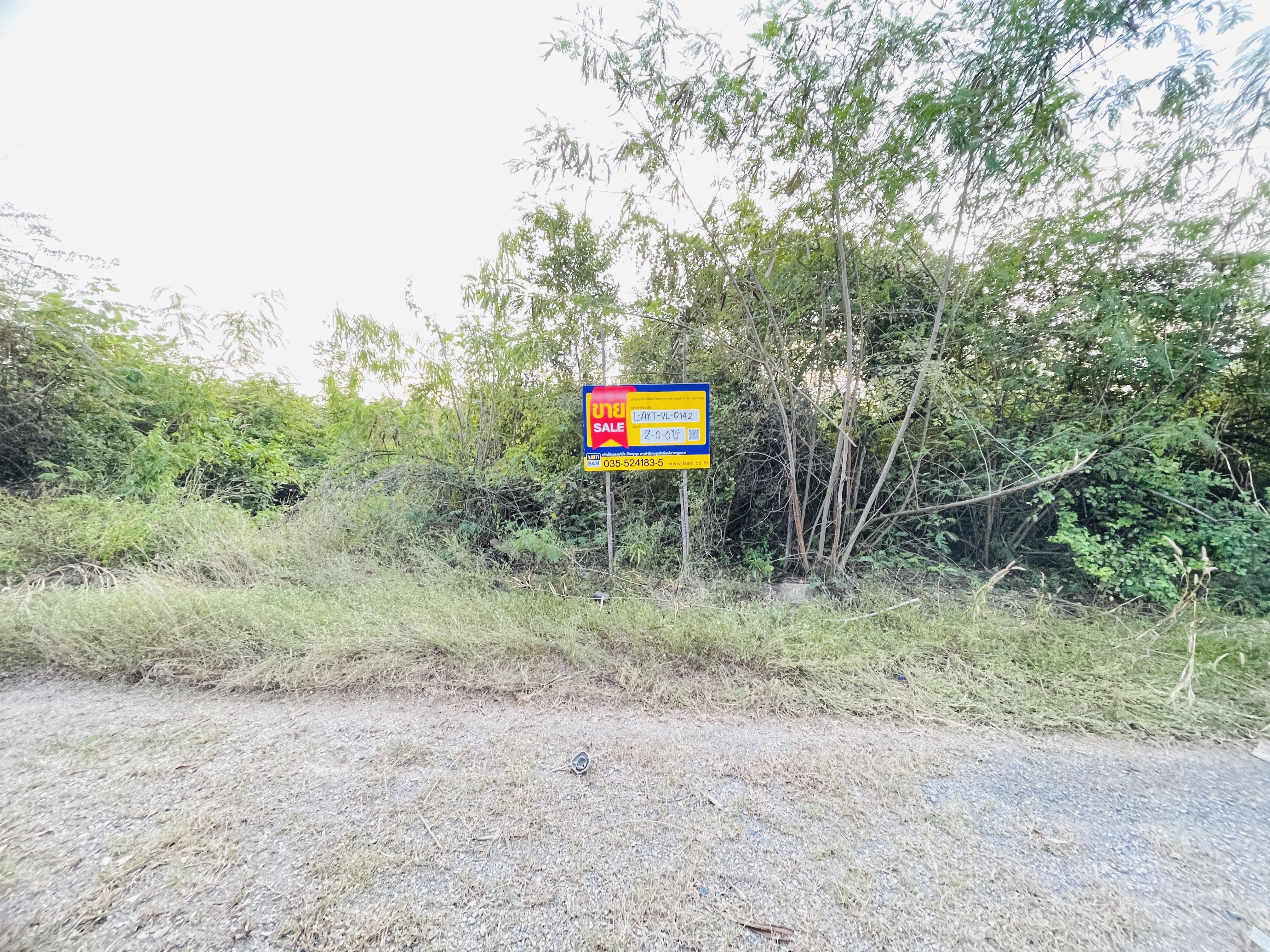 Empty Land in Ayutthaya City