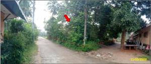 Vacant Land, Koh Samui, Surat Thani Province