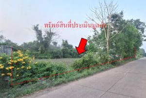 ที่ดินเปล่า เมืองบึงกาฬ จังหวัดบึงกาฬ