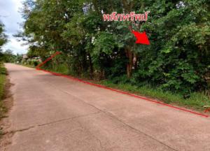 ที่ดินเปล่า เมืองบึงกาฬ จังหวัดบึงกาฬ